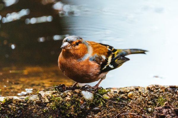 Photography for Fitness Retreats